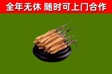 广宗烟酒回收冬虫夏草.jpg
